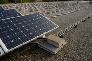 Solar panels on the roof of Kew Beach School